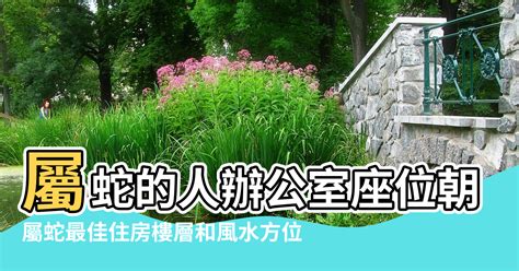 屬蛇樓層|【屬蛇風水】屬蛇風水必看：打造專屬好運住宅指南